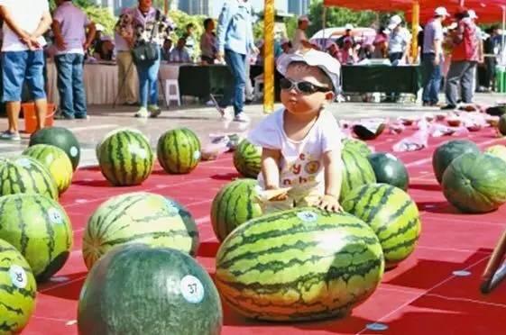 首次尝试完美吃瓜,首次完美吃瓜体验全记录