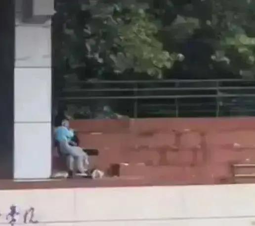 武汉大学吃瓜视频,揭秘校园生活趣味瞬间