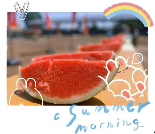 人在吃瓜中瓜从天上来,揭秘“人在吃瓜中瓜从天上来”的神奇现象