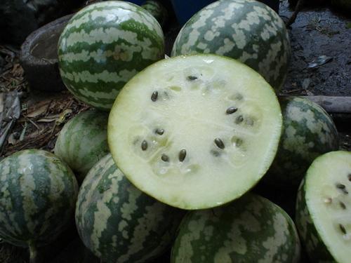 后瓜怎么吃,解锁美味新境界