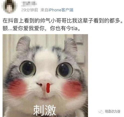 吃瓜抖妹,揭秘网络红人的幕后故事