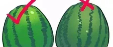 星圈吃瓜系统,揭秘娱乐圈背后的秘密与八卦