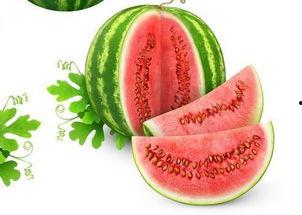 星圈吃瓜系统,揭秘娱乐圈背后的秘密与八卦