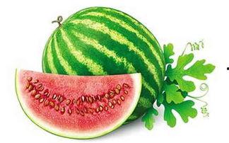 冬天吃瓜凉快,冬日吃瓜的清凉体验