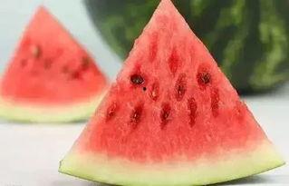 冬天吃瓜凉快,冬日吃瓜的清凉体验