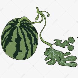 抠图吃瓜,抠图吃瓜背后的视觉盛宴与创意无限