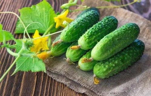 怎么提高吃瓜效率,高效吃瓜技巧大揭秘