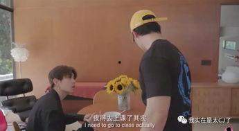 吃瓜群众vlog视频,一场视觉盛宴的幕后故事