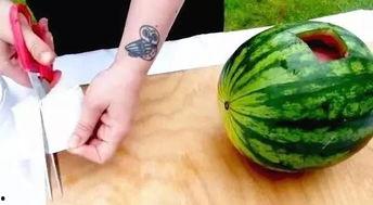 文安网红吃瓜视频,揭秘网络热点背后的真相