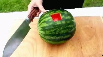 文安网红吃瓜视频,揭秘网络热点背后的真相