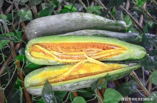 文安网红吃瓜视频,揭秘网络热点背后的真相