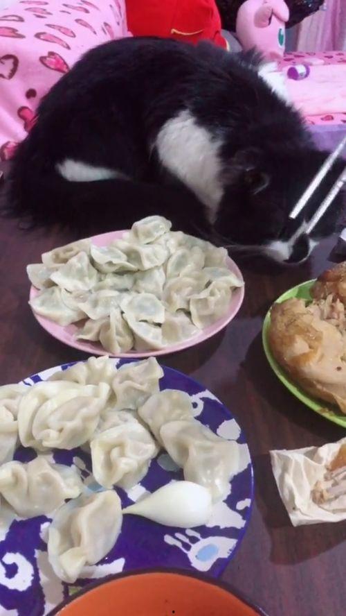 做梦吃瓜吃鸡肉啥意思呀,吃瓜鸡肉背后的寓意解读