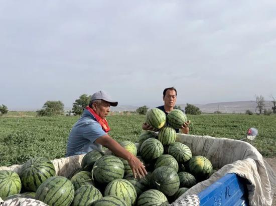 万花吃瓜,揭秘娱乐圈的甜蜜与苦涩