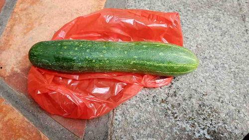 早上吃生瓜,开启健康活力新一天