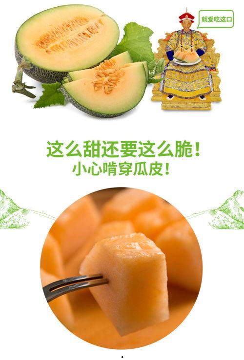 早晨吃蜜瓜视频,一场视觉与味觉的双重盛宴