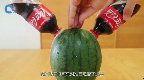 瓜哥美少女吃瓜,揭秘娱乐圈的甜蜜吃瓜日常