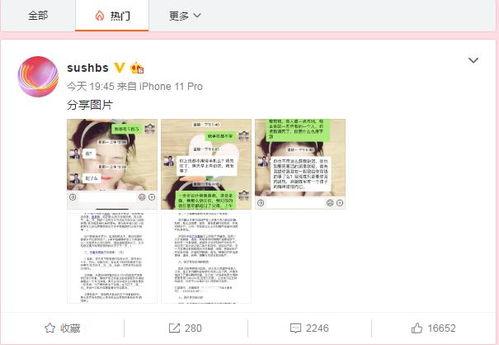 吃瓜新闻素材下载网站,海量资讯一手掌握