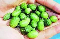 小西带你吃瓜,揭秘娱乐圈那些事儿