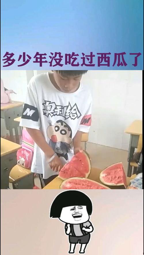 吃瓜表弟,一场关于好奇心与成长的趣味之旅