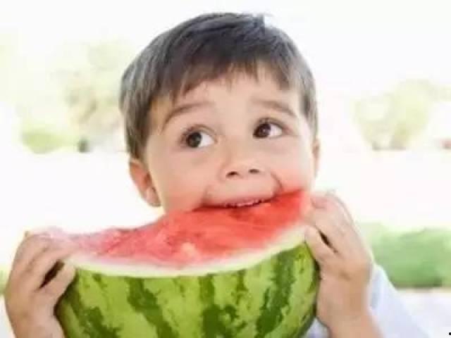 冯呆呆 吃瓜,瓜田里的欢乐食客