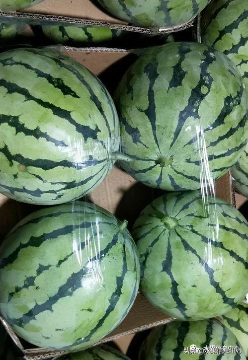 2021吃瓜年,吃瓜群众的狂欢盛宴