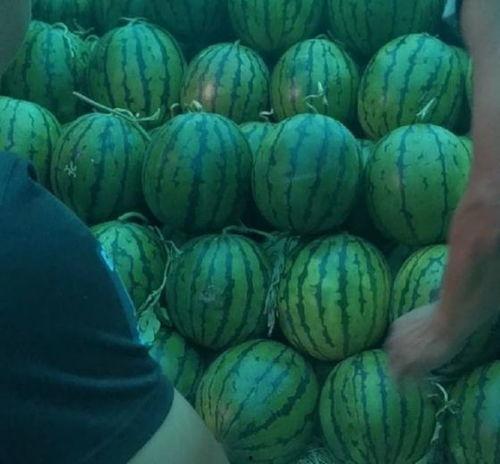 2021吃瓜年,吃瓜群众的狂欢盛宴