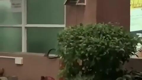 吃瓜事件合肥新闻,揭秘网络舆论的风云变幻