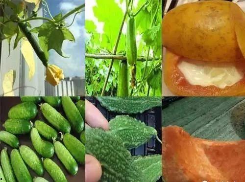 六零后吃瓜,见证时代变迁的“吃瓜群众”