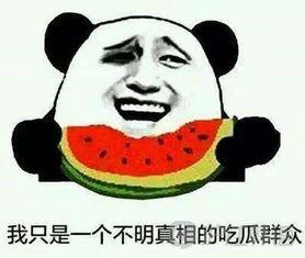 吃瓜群众老韩,揭秘娱乐圈背后的那些事儿