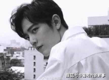 前排吃瓜陈情令,前排吃瓜，揭秘剧中幕后故事