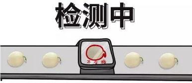 吃瓜常用问题,一网打尽那些年我们“吃瓜”的困惑