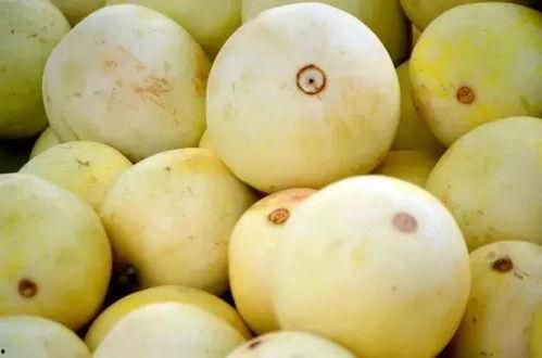 吃瓜常用问题,一网打尽那些年我们“吃瓜”的困惑