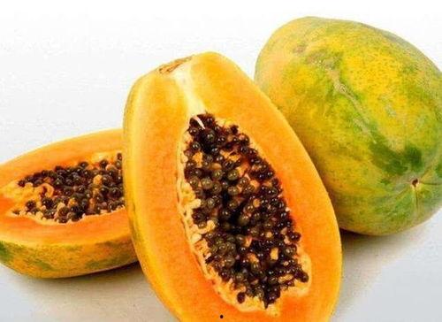 小金梦吃瓜,小金梦的瓜田奇遇记