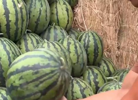 吃瓜游,揭秘娱乐圈背后的那些事儿