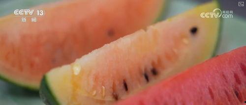 吃瓜需求,那些你不知道的幕后故事与八卦传闻