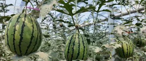 吃瓜需求,那些你不知道的幕后故事与八卦传闻