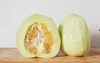 瓜没熟可以吃吗,能否食用？揭秘成熟瓜果的食用标准