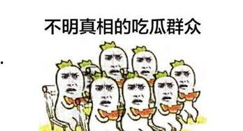 天才吃瓜群众