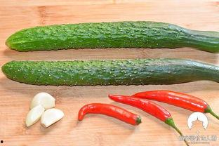 挑战吃酸酸的瓜,酸酸瓜的酸爽之旅