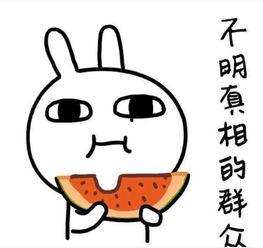 吃瓜吃醒的文案短句搞笑,吃瓜吃醒的欢乐时光