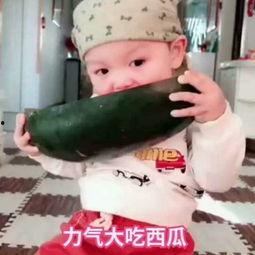 搞笑吃瓜礼仪视频,笑料百出！搞笑吃瓜礼仪视频大盘点