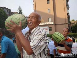 刺激的吃瓜现场,刺激吃瓜盛宴，揭秘幕后真相