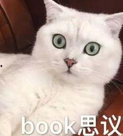 小姐姐熬夜吃瓜,小姐姐揭秘娱乐圈幕后真相