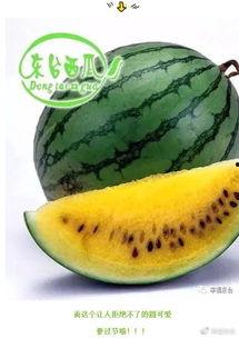 2022吃瓜集合,盘点那些年我们一起“瓜”过的热点事件