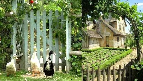 十二院子吃瓜指南