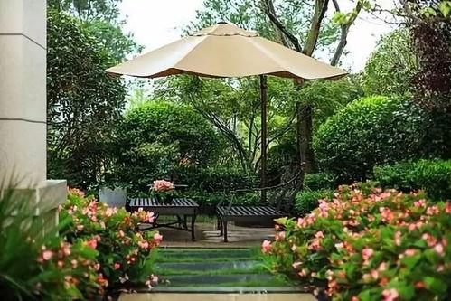 十二院子吃瓜指南