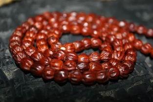 吃瓜包浆视频,一场视觉与味蕾的双重盛宴