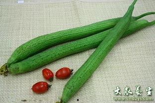 吃瓜败火,吃瓜败火，养生之道