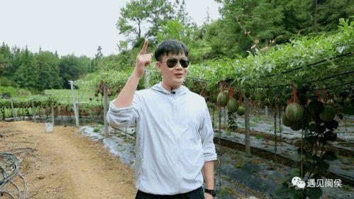 周鑫宇吃瓜,揭秘娱乐圈幕后故事