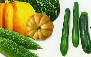 吃瓜侵权,揭秘网络侵权背后的法律风险